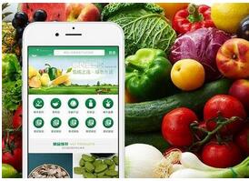類似盒馬生鮮APP平臺搭建 類似盒馬生鮮APP平臺搭建